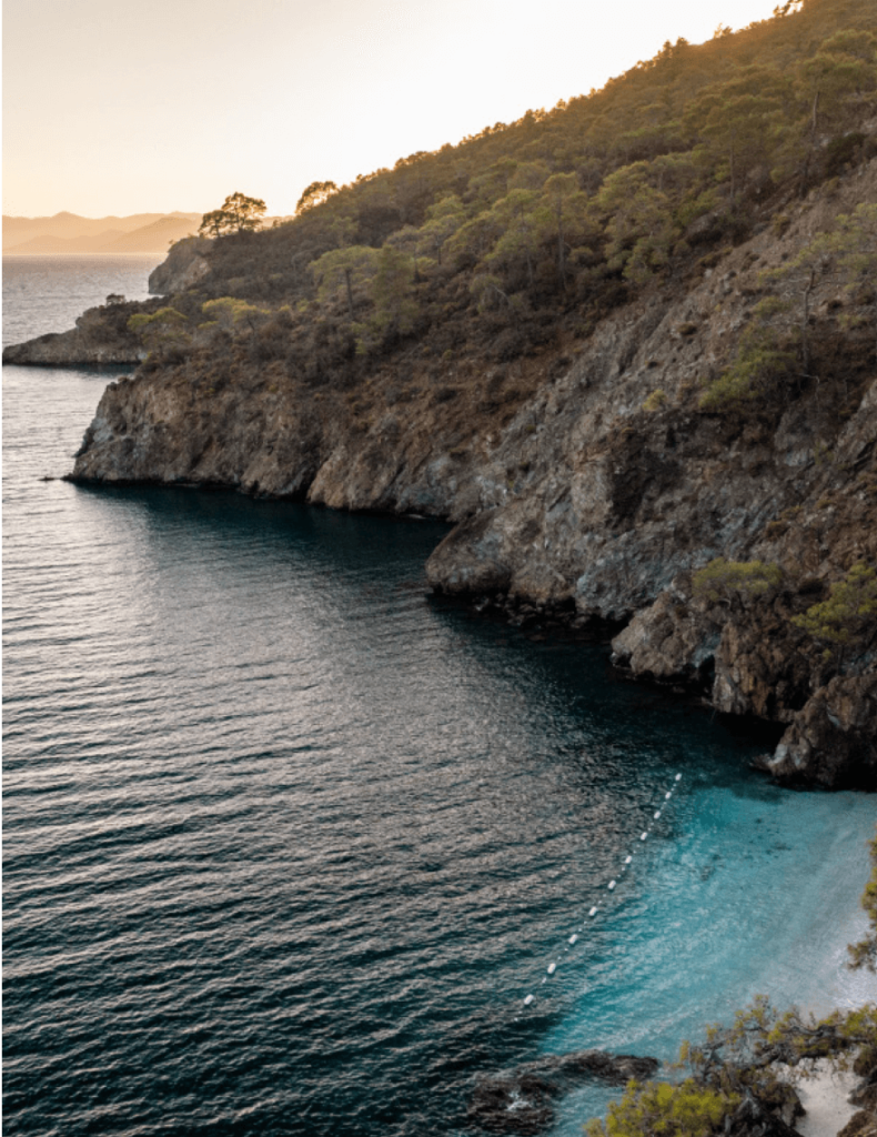 Ahama brings modern luxury to the bosom of nature with its nature-respecting architecture and sustainable living philosophy. In its 20-hectare protected forest surrounded by sacred liquid amber trees, guests experience the healing silence of nature.