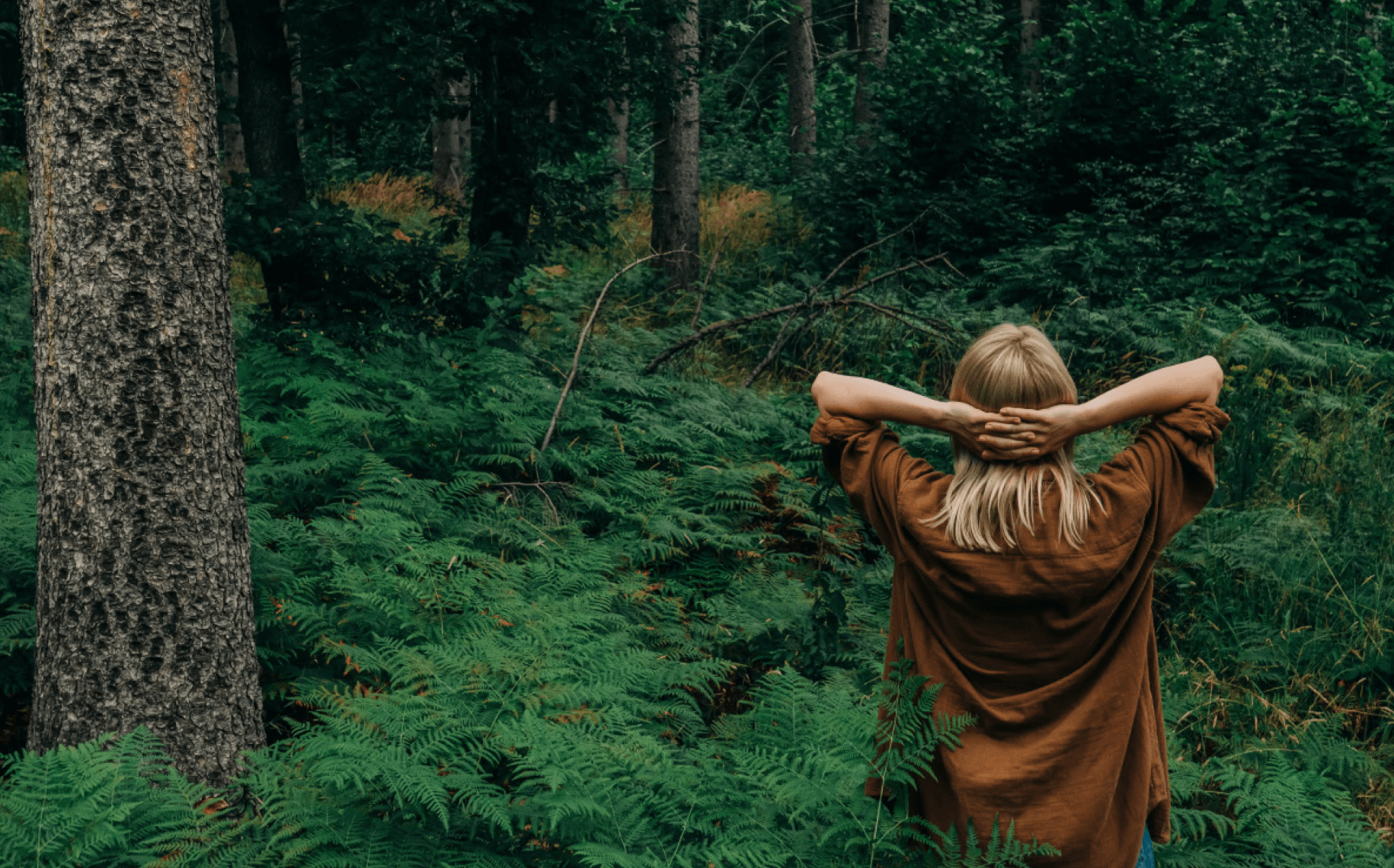 The forest bathing experience is integrated with Ahãma philosophy of living in harmony with nature. Here, you feel the healing energy of nature and have the opportunity to rejuvenate your body and soul by getting away from the chaos of daily life.