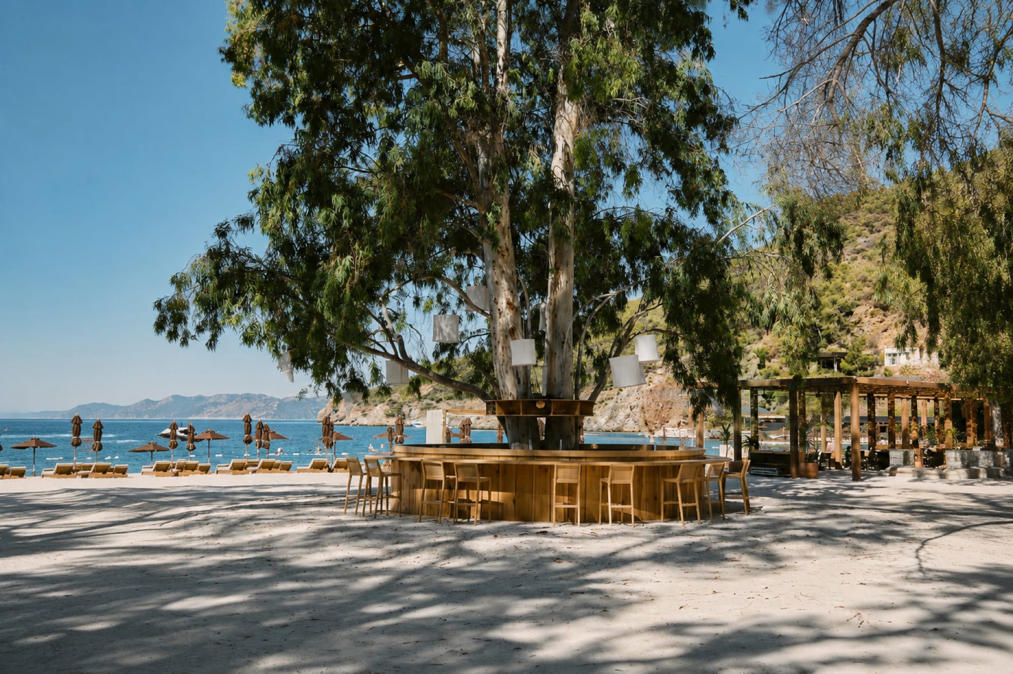 umi bar