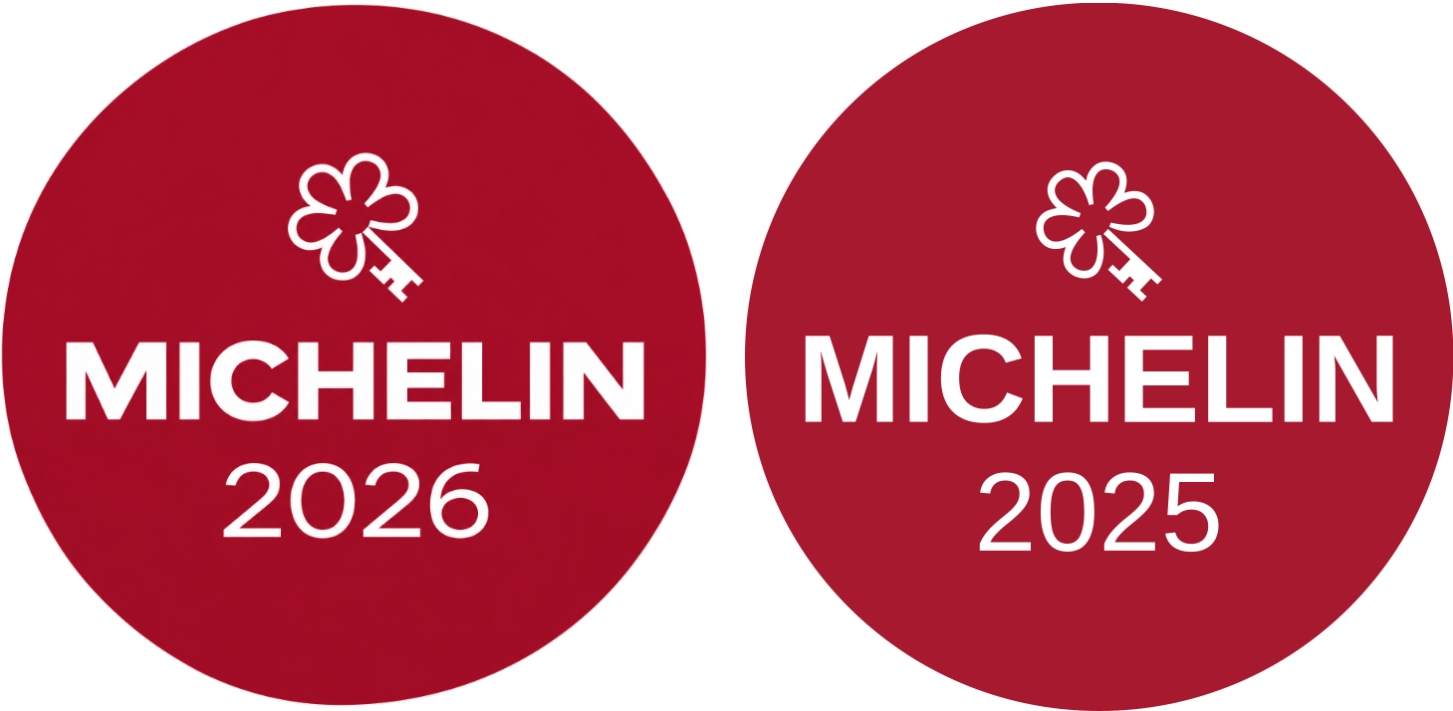 michelin logo 25-26